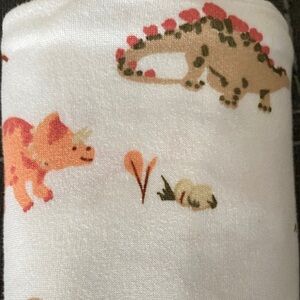 Dinosaur Print Baby swaddle